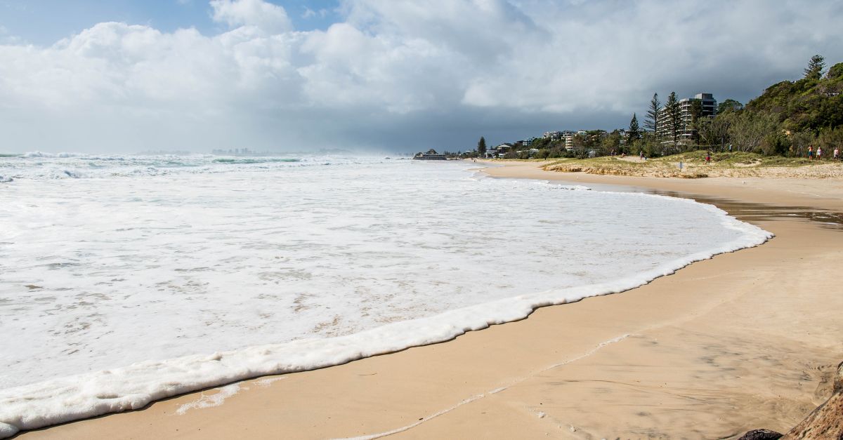 Understanding Installation Logs for Software Troubleshooting